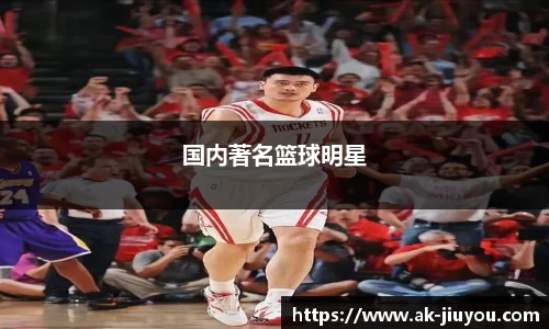 国内著名篮球明星