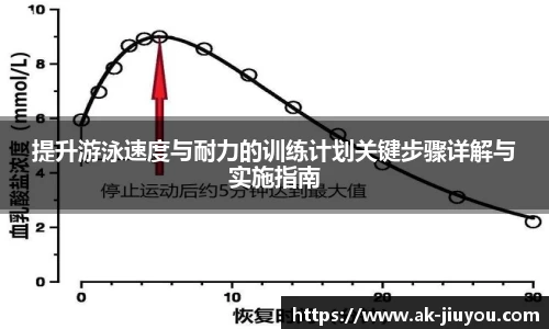 提升游泳速度与耐力的训练计划关键步骤详解与实施指南